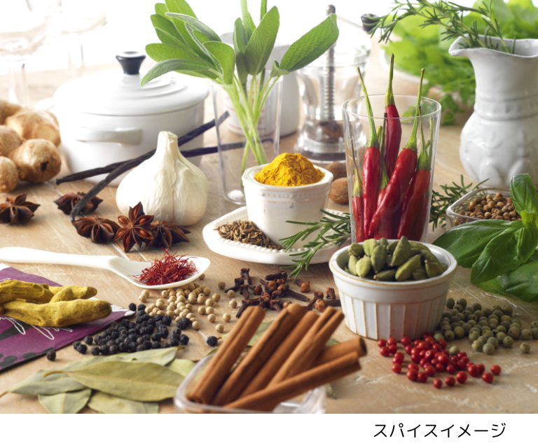 【10月30日(木)】八丁堀界隈のまち歩きと「エスビー食品」にてカレー粉の歴史と香りの秘密に迫る(25WC027)
