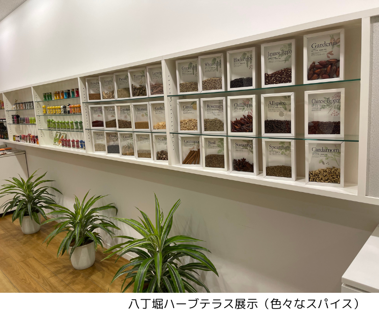 【10月30日(木)】八丁堀界隈のまち歩きと「エスビー食品」にてカレー粉の歴史と香りの秘密に迫る(25WC027)
