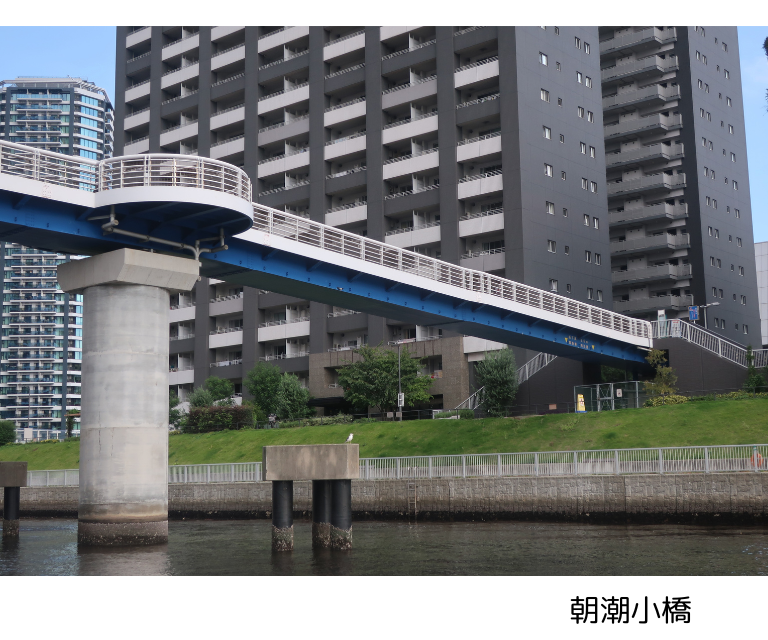 文化【9月16日（水）】新旧の歴史織りなす中央区晴海の魅力探訪（26WA002）