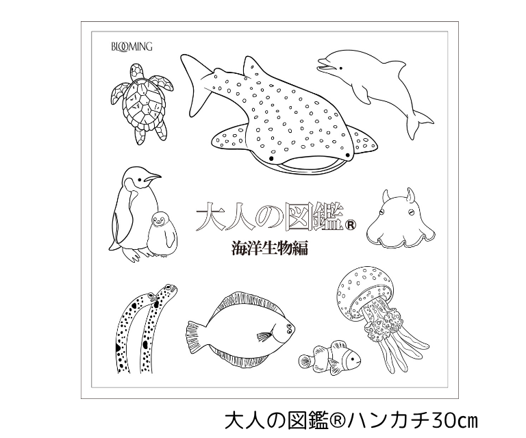 産業【8月5日（水）】【夏休み企画】体験イベント『大人の図鑑』® 夏モチーフ　塗り絵ハンカチーフ作り （26WB002）