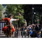 Tokyo Experience the Elegance of Edo : Yabusame (horseback archery) demonstration watching　12:40pm