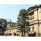 Tokyo Experience the Elegance of Edo : Tokyo Nihonbashi Guided Walking Tour 【13:00-15:00】