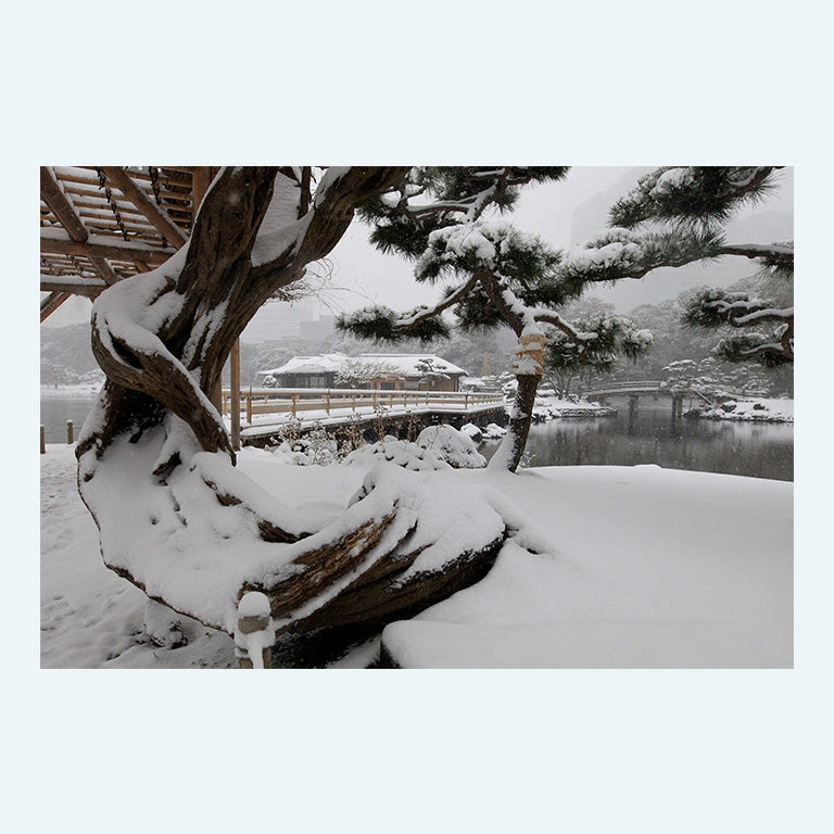中央区観光協会オリジナルポストカード【雪化粧した浜離宮恩賜庭園 #49】