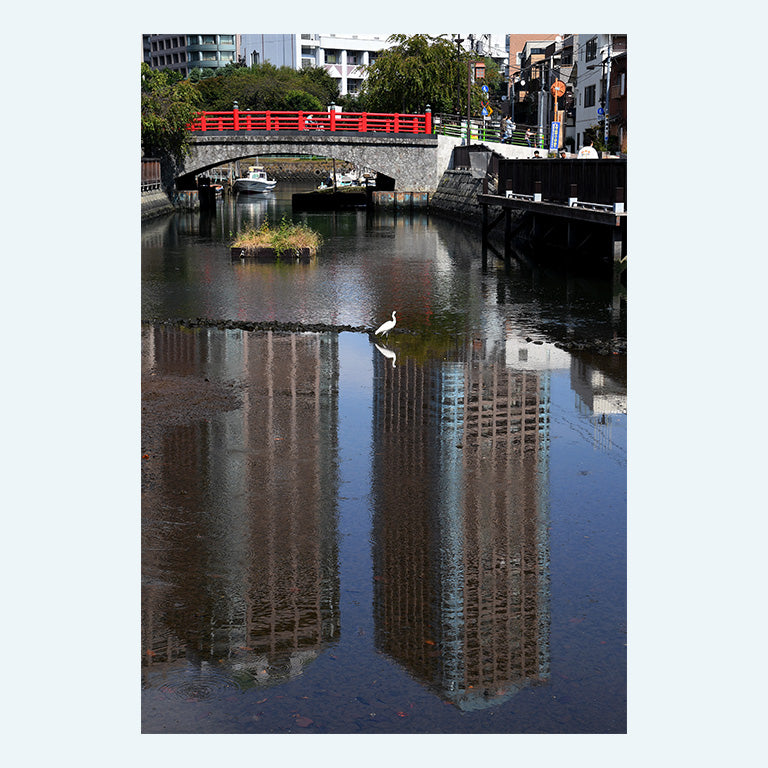 中央区観光協会オリジナルポストカード【赤い橋と白サギ #62】